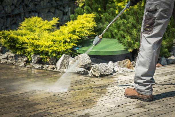 Best Roof Cleaning and Mildew Removal in Humboldt, TN